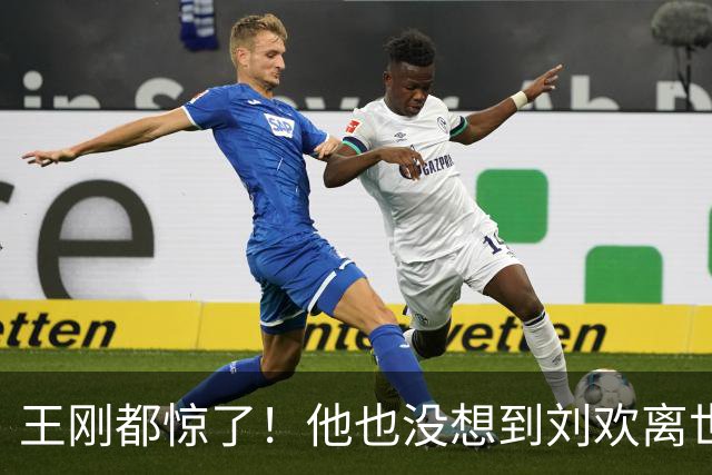 王刚都惊了！他也没想到刘欢离世才4天，成方圆靠一件事逆风翻盘